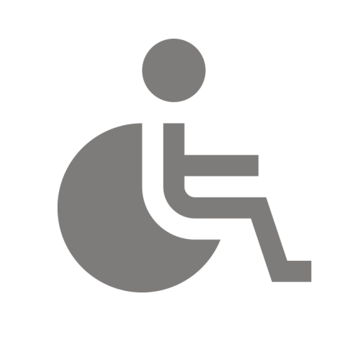 Ícone de uma pessoa com deficiência